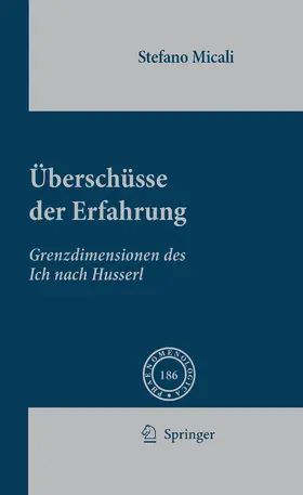 Micali |  Überschüsse der Erfahrung | eBook | Sack Fachmedien
