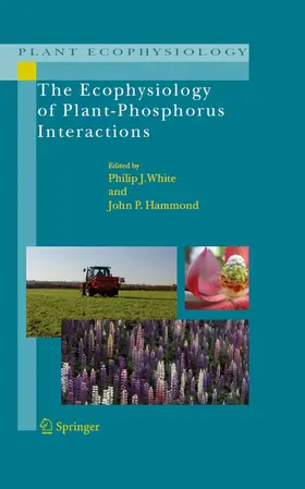 White / Hammond |  The Ecophysiology of Plant-Phosphorus Interactions | eBook | Sack Fachmedien