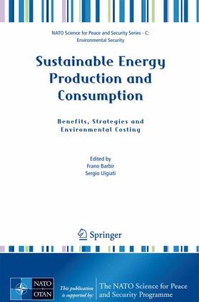 Ulgiati / Barbir | Sustainable Energy Production and Consumption | Buch | 978-1-4020-8492-8 | sack.de