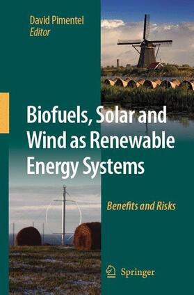 Pimentel | Biofuels, Solar and Wind as Renewable Energy Systems | Buch | 978-1-4020-8653-3 | sack.de