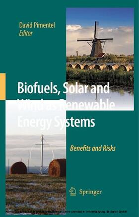 Pimentel |  Biofuels, Solar and Wind as Renewable Energy Systems | eBook | Sack Fachmedien