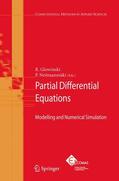 Glowinski / Neittaanmäki |  Partial Differential Equations | Buch |  Sack Fachmedien