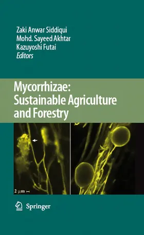 Siddiqui / Akhtar / Futai | Mycorrhizae: Sustainable Agriculture and Forestry | E-Book | sack.de