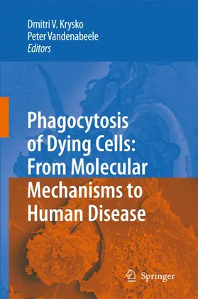 Krysko / Vandenabeele |  Phagocytosis of Dying Cells | Buch |  Sack Fachmedien