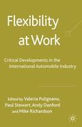 Pulignano / Stewart / Danford |  Flexibility at Work | Buch |  Sack Fachmedien
