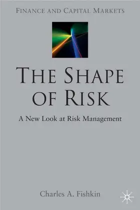 Fishkin |  The Shape of Risk | Buch |  Sack Fachmedien