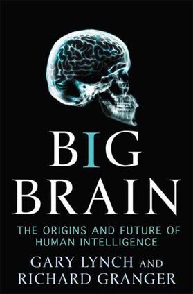 Lynch |  BIG BRAIN | Buch |  Sack Fachmedien