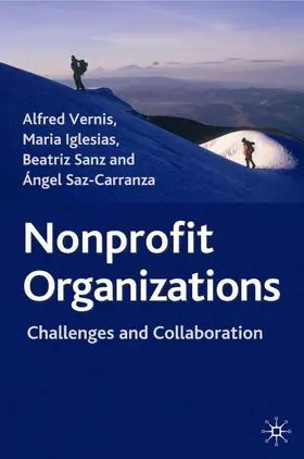 Vernis / Iglesias / Sanz |  Nonprofit Organizations | Buch |  Sack Fachmedien