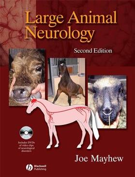 Mayhew | Mayhew, I: Large Animal Neurology 2e | Buch | 978-1-4051-5493-2 | sack.de