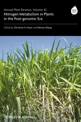 Foyer / Zhang |  Annual Plant Reviews, Nitrogen Metabolism in Plants in the Post-Genomic Era | Buch |  Sack Fachmedien