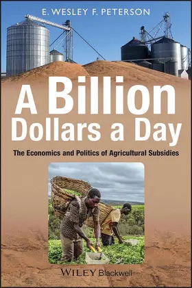 Peterson |  A Billion Dollars a Day | Buch |  Sack Fachmedien