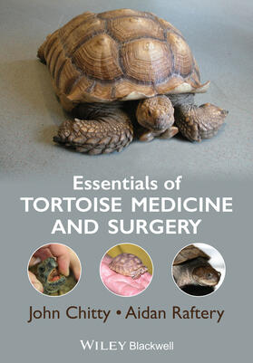 Chitty / Raftery | Essentials of Tortoise Medicine and Surgery | Buch | sack.de