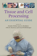 Fehily / Brubaker / Kearney |  Tissue and Cell Processing: An Essential Guide | Buch |  Sack Fachmedien