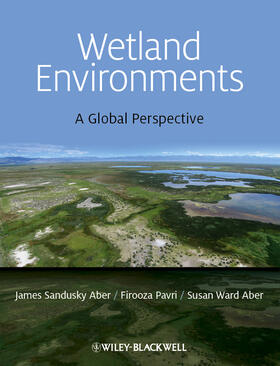 Aber / Pavri | Wetland Environments | Buch | 978-1-4051-9841-7 | sack.de