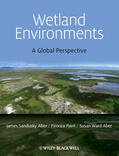 Aber / Pavri |  Wetland Environments | Buch |  Sack Fachmedien