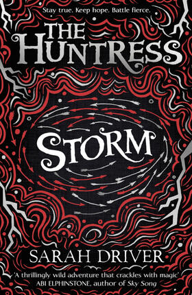 Driver |  Storm | Buch |  Sack Fachmedien