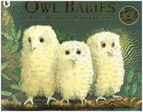 Waddell |  Owl Babies | Buch |  Sack Fachmedien