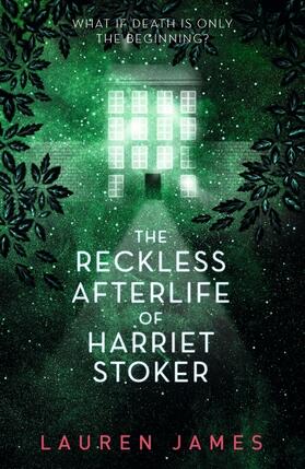 James |  The Reckless Afterlife of Harriet Stoker | Buch |  Sack Fachmedien