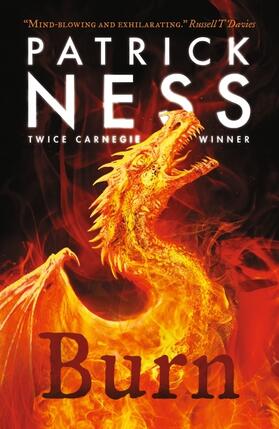 Ness |  Burn | Buch |  Sack Fachmedien
