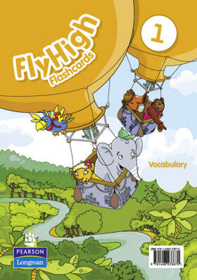  Fly High Level 1 Vocabulary Flashcards | Sonstiges |  Sack Fachmedien