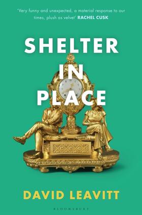 Leavitt |  Shelter in Place | Buch |  Sack Fachmedien