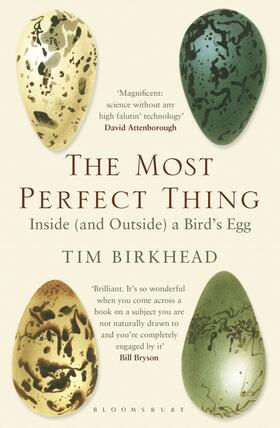 Birkhead |  The Most Perfect Thing | Buch |  Sack Fachmedien