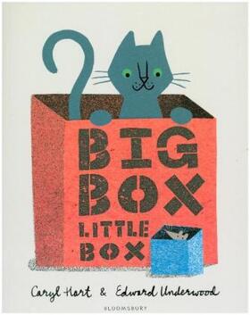 Hart |  Big Box Little Box | Buch |  Sack Fachmedien