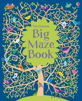 Robson |  Big Maze Book | Buch |  Sack Fachmedien