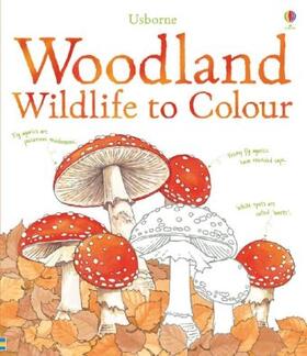 Meredith |  Woodland Wildlife to Colour | Buch |  Sack Fachmedien