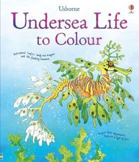 Meredith |  Undersea Life to Colour | Buch |  Sack Fachmedien