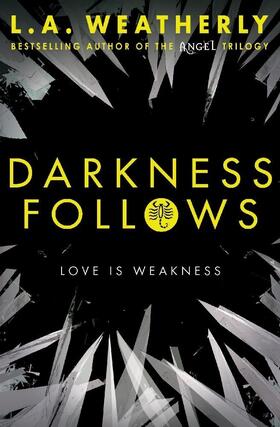 Weatherly |  Darkness Follows | Buch |  Sack Fachmedien