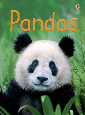 Maclaine |  Pandas | Buch |  Sack Fachmedien