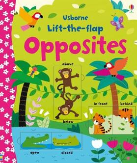 Brooks |  Lift-the-flap Opposites | Buch |  Sack Fachmedien