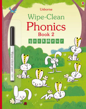MacKinnon |  Wipe-Clean Phonics Book 2 | Buch |  Sack Fachmedien