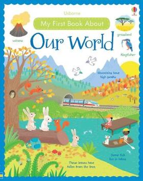 Brooks / Young | My First Book About Our World [Library Edition] | Buch | 978-1-4095-9789-6 | sack.de