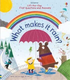 Daynes |  Lift-the-Flap First Questions and Answers What Makes it Rain? | Buch |  Sack Fachmedien