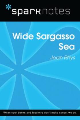 Sparknotes |  Wide Sargasso Sea (SparkNotes Literature Guide) | eBook | Sack Fachmedien