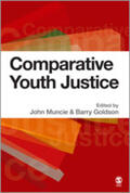 Muncie / Goldson |  Comparative Youth Justice | Buch |  Sack Fachmedien