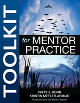 Horn / Metler-Armijo |  Toolkit for Mentor Practice | Buch |  Sack Fachmedien