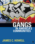 Howell |  Gangs in America's Communities | Buch |  Sack Fachmedien