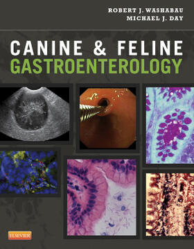 Day / Washabau | Canine and Feline Gastroenterology | Buch | 978-1-4160-3661-6 | sack.de