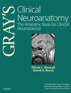 Mancall / Brock | Gray's Clinical Neuroanatomy | Buch | 978-1-4160-4705-6 | www.sack.de