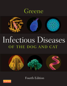 Sykes / Greene | Sykes, J: Infectious Diseases of the Dog and Cat | Buch | 978-1-4160-6130-4 | sack.de