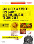 Quinones-Hinojosa |  Schmidek and Sweet: Operative Neurosurgical Techniques | Buch |  Sack Fachmedien