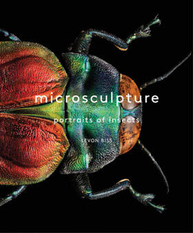 Biss |  Microsculpture | Buch |  Sack Fachmedien