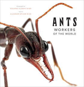 Rice | Ants: Workers of the World | Buch | 978-1-4197-4849-3 | www.sack.de