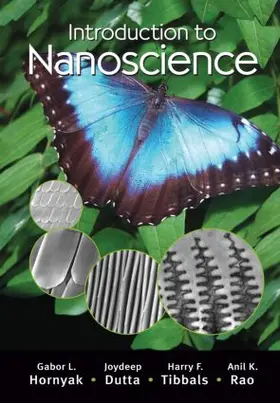 Hornyak / Dutta / Tibbals |  Introduction to Nanoscience | Buch |  Sack Fachmedien