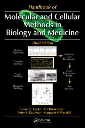 Cseke / Kirakosyan / Kaufman |  Handbook of Molecular and Cellular Methods in Biology and Medicine | Buch |  Sack Fachmedien
