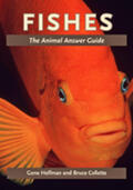 Helfman / Collette |  Fishes | Buch |  Sack Fachmedien