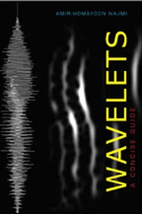 Najmi |  Wavelets | Buch |  Sack Fachmedien
